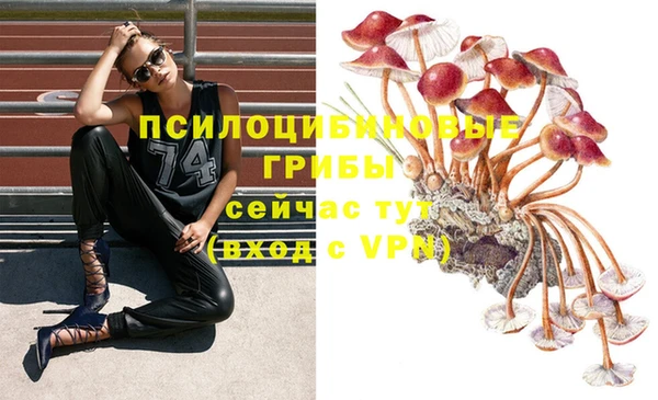 дживик Абинск