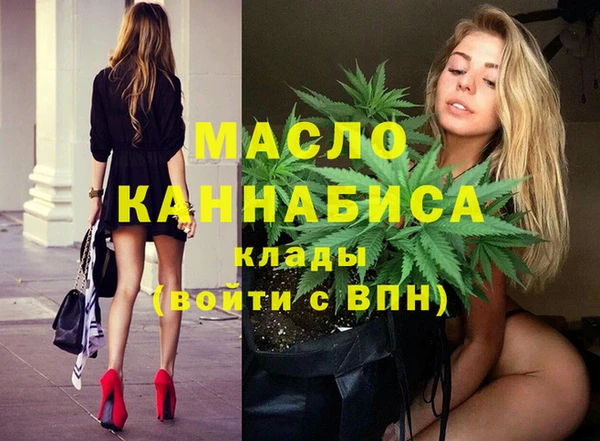 дживик Абинск