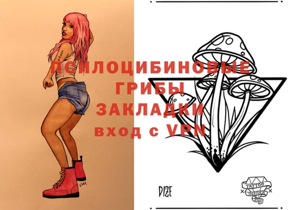 дживик Абинск