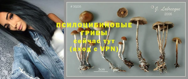 a pvp Алзамай