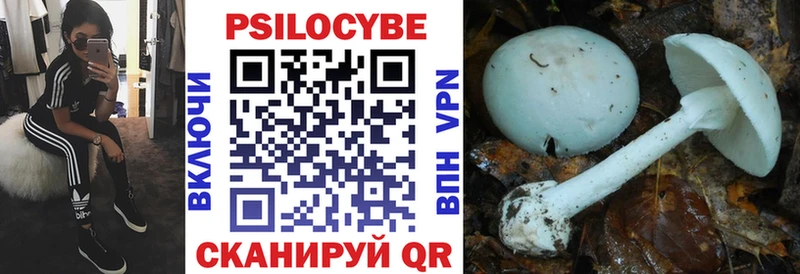 купить наркотики сайты  ОМГ ОМГ ССЫЛКА  Псилоцибиновые грибы Psilocybe  Трубчевск 