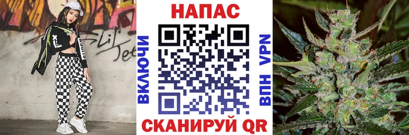 Каннабис OG Kush Трубчевск